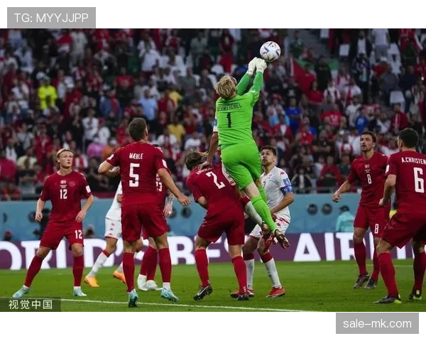 突尼斯2026世界杯阵容预测：核心球员伤停影响出线前景